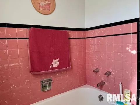 1306 11th Ave, Fulton, IL 61252 photo 10