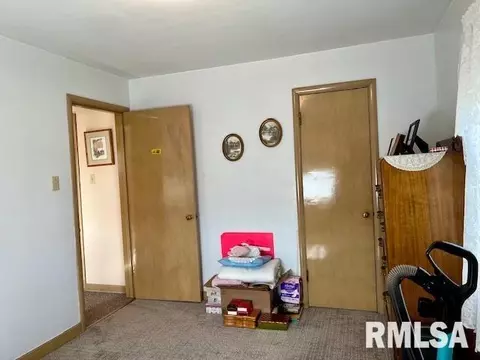 1306 11th Ave, Fulton, IL 61252 photo 15