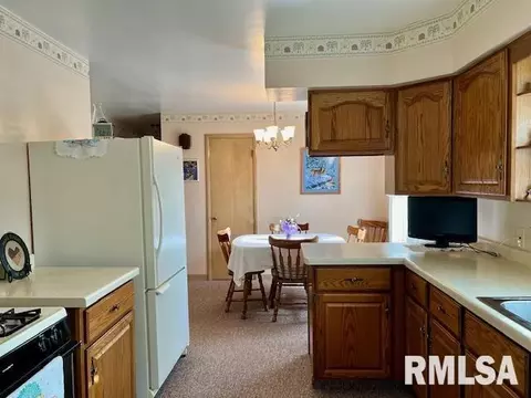 1306 11th Ave, Fulton, IL 61252 photo 8