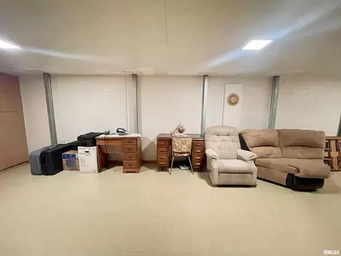 1306 11th Ave, Fulton, IL 61252 photo 17
