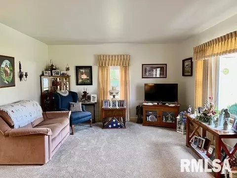 1306 11th Ave, Fulton, IL 61252 photo 3