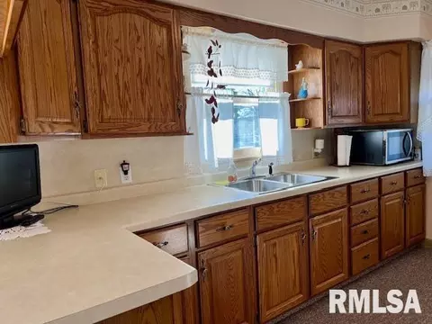 1306 11th Ave, Fulton, IL 61252 photo 9