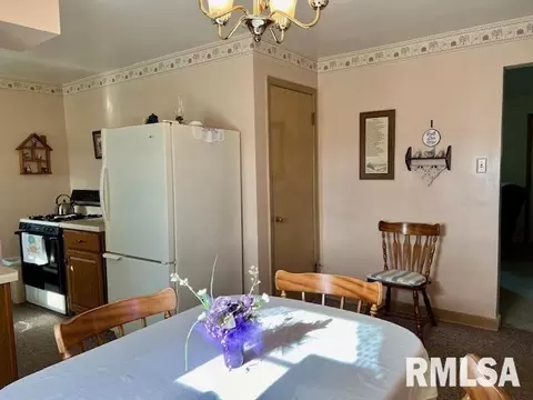 1306 11th Ave, Fulton, IL 61252 photo 6