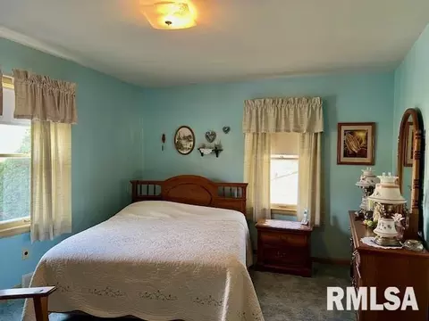 1306 11th Ave, Fulton, IL 61252 photo 12