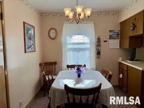 1306 11th Ave, Fulton, IL 61252 photo 5