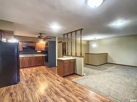 205 S State St, Annawan, IL 61234 photo 2