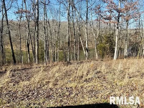 lot75 Saluki Way, Goreville, IL 62939