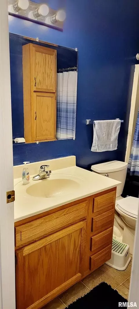 856 Starlight Ct, Herrin, IL 62948 photo 16