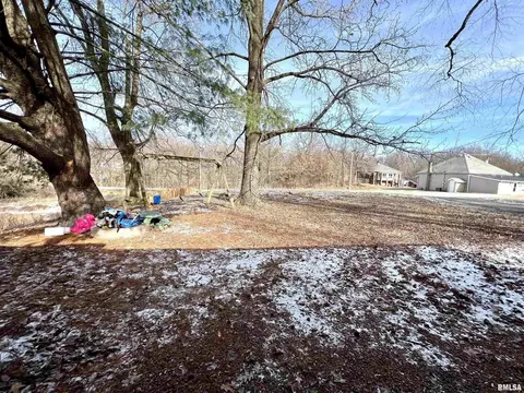 814 E Belleville Ave, Christopher, IL 62822 photo 19