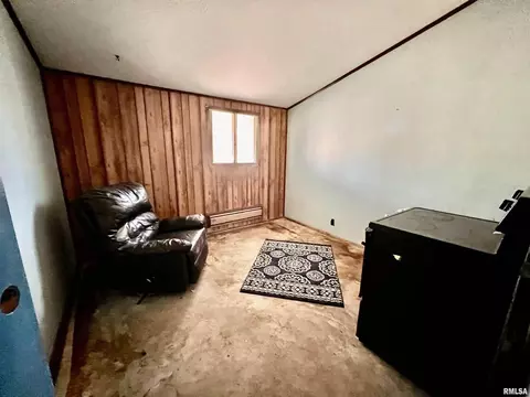 814 E Belleville Ave, Christopher, IL 62822 photo 15