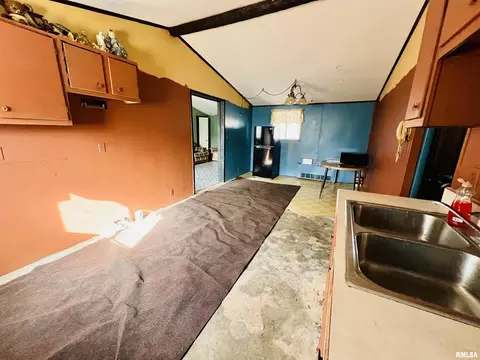 814 E Belleville Ave, Christopher, IL 62822 photo 13