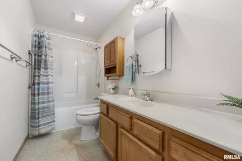 316 8th Ave, Hampton, IL 61256 photo 13