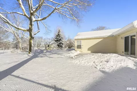316 8th Ave, Hampton, IL 61256 photo 19