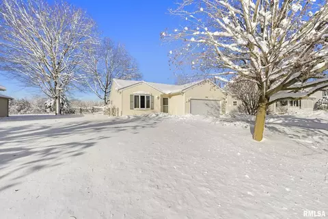 316 8th Ave, Hampton, IL 61256 photo 21