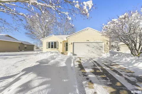 316 8th Ave, Hampton, IL 61256 photo 22