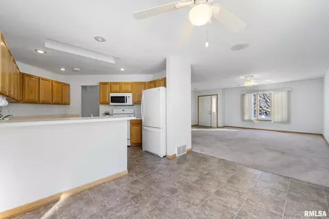 316 8th Ave, Hampton, IL 61256 photo 7