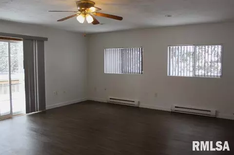 241 E Garfield St, Kewanee, IL 61443 photo 11