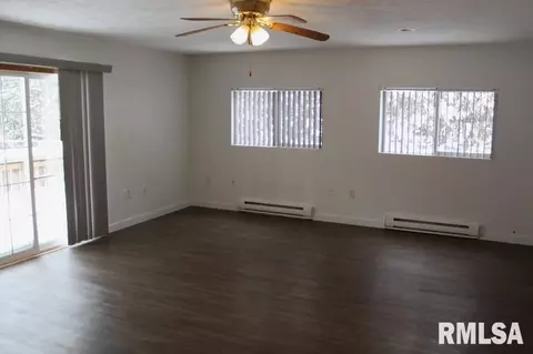 241 E Garfield St, Kewanee, IL 61443 photo 10
