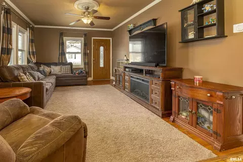 551 N Seba St, Hurst, IL 62949 photo 5