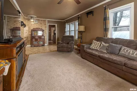 551 N Seba St, Hurst, IL 62949 photo 7