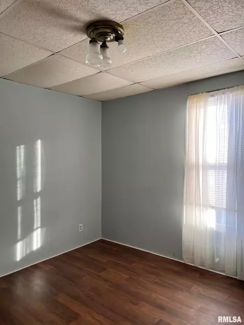 418 Dwight St, Kewanee, IL 61443 photo 22