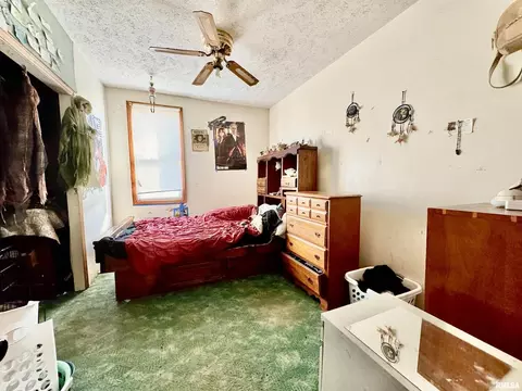 108 W Jackson St, Joy, IL 61260 photo 5