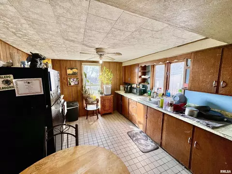 108 W Jackson St, Joy, IL 61260 photo 3