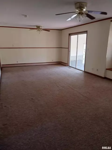 399 Park Lane St, Herrin, IL 62948 photo 42
