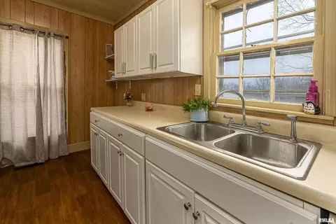 107 W Maple St, Cobden, IL 62920 photo 14