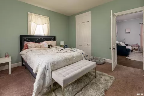 107 W Maple St, Cobden, IL 62920 photo 8