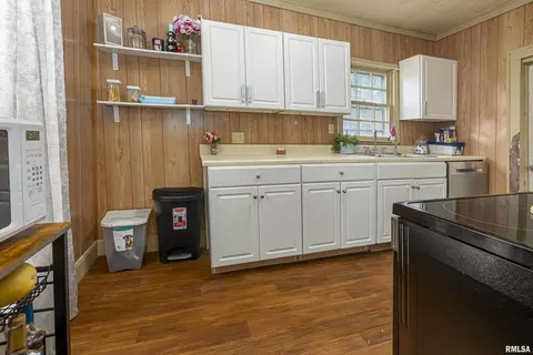 107 W Maple St, Cobden, IL 62920 photo 12