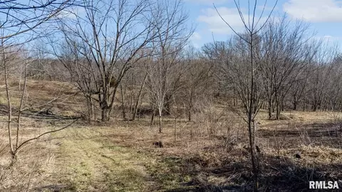 138 Us Hwy 150, Alpha, IL 61413 photo 16