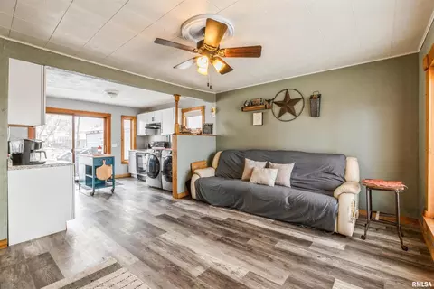 249 4th St E, Milan, IL 61264 photo 7