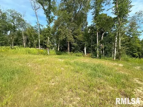 lot2 225th St, Dewitt, IA 52742