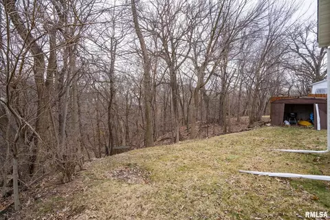 920 54th St #B, Moline, IL 61265 photo 19