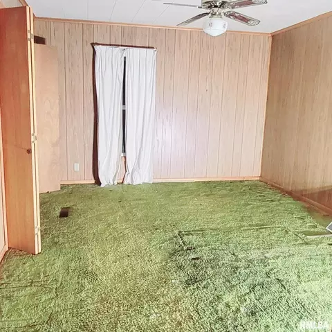 808 E 2nd St, Buckner, IL 62819 photo 5