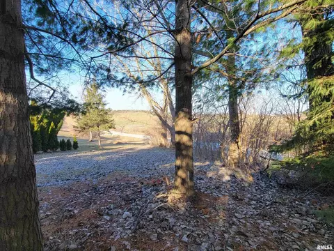 22954 245th St, Eldridge, IA 52748 photo 9