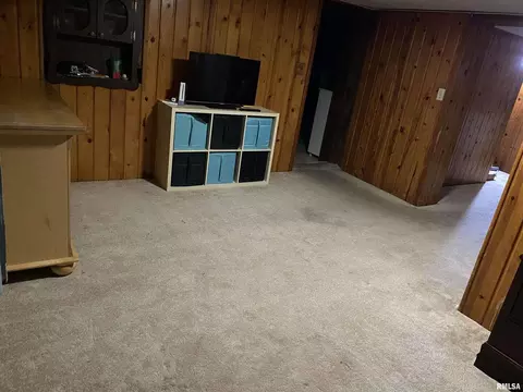 311 N Scandia St, Alpha, IL 61413 photo 27
