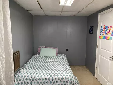 311 N Scandia St, Alpha, IL 61413 photo 23