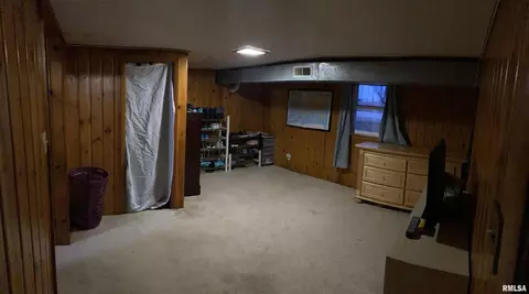 311 N Scandia St, Alpha, IL 61413 photo 28