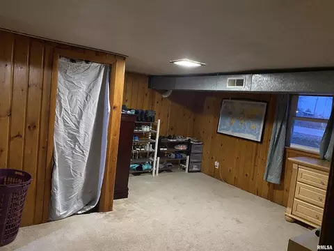 311 N Scandia St, Alpha, IL 61413 photo 29