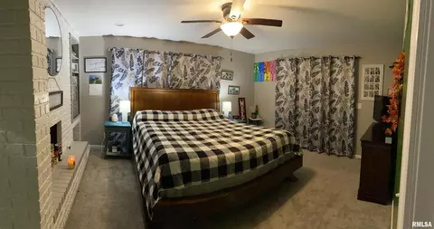 311 N Scandia St, Alpha, IL 61413 photo 8