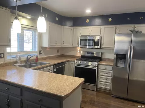 311 N Scandia St, Alpha, IL 61413 photo 2