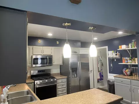 311 N Scandia St, Alpha, IL 61413 photo 4