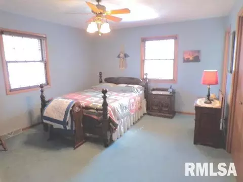 110 S Yates St, Alpha, IL 61413 photo 16