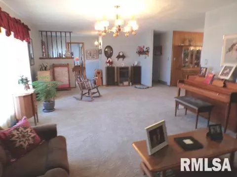 110 S Yates St, Alpha, IL 61413 photo 12