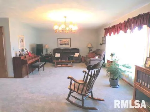 110 S Yates St, Alpha, IL 61413 photo 10