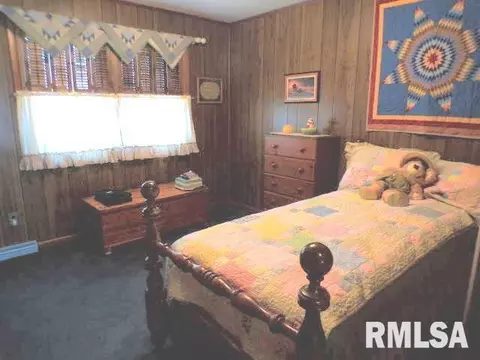 110 S Yates St, Alpha, IL 61413 photo 20