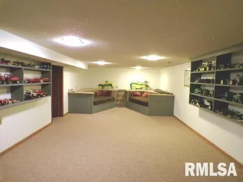 110 S Yates St, Alpha, IL 61413 photo 26