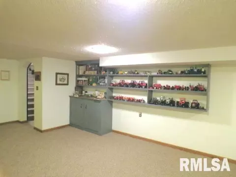 110 S Yates St, Alpha, IL 61413 photo 25